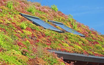 Abbey Wood living roof systems