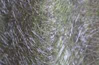 Abbey Wood fibreglass roof work